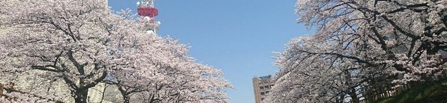 kanemi's header image