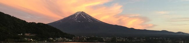 No73891's header image