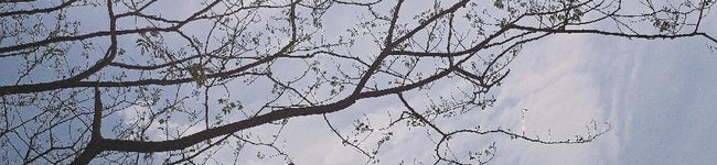 MiNaMi2078's header image