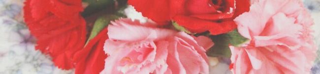 クックKS90QY☆'s header image