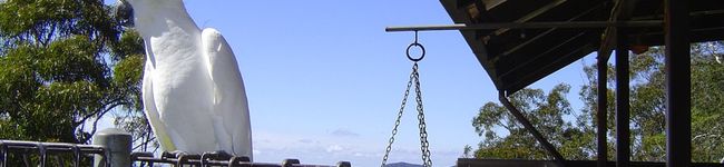 kayajam's header image