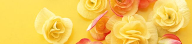 みんみのキッチン's header image