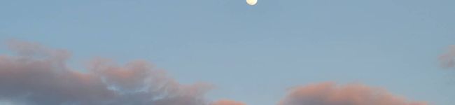 ねこ猫2's header image