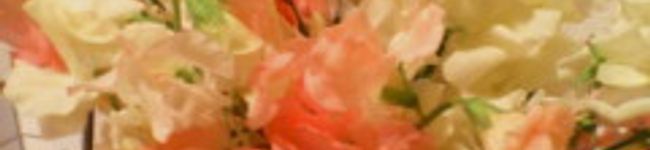 NMママ's header image
