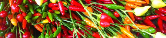 野菜のはたけ's header image