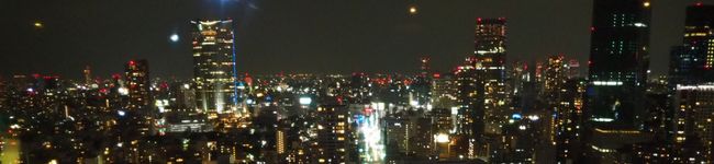 megu_mog's header image