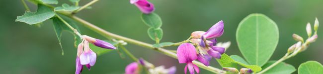 ricca0047's header image