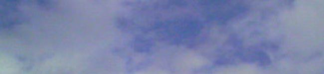 ライシン's header image
