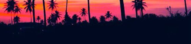 クックAEB69Q☆'s header image