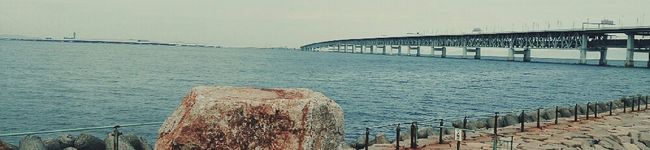 midwifeになる's header image