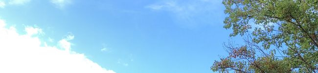 asa☆05130's header image