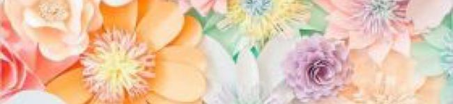 。ka。's header image