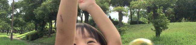居酒屋せっちゃん's header image
