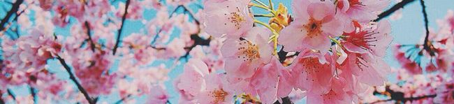khtyuka18's header image