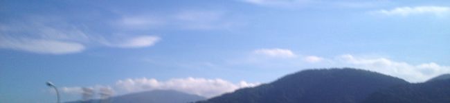 catredちゃん's header image
