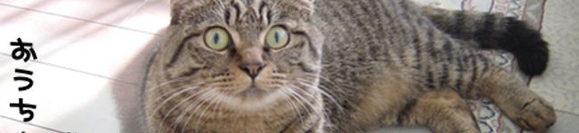 いすぃ's header image