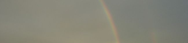 ぼちぼちいこか's header image