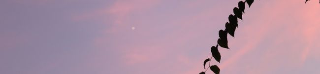m282918's header image