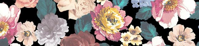 ikuy✩t's header image