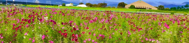 CHACHA0307's header image