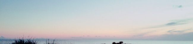 maropi93's header image