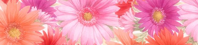 ゆかたんhanto's header image