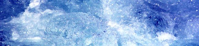 ちᕱ⑅ᕱ's header image