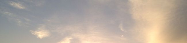y_ayanooo's header image
