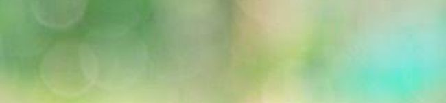 jun©'s header image