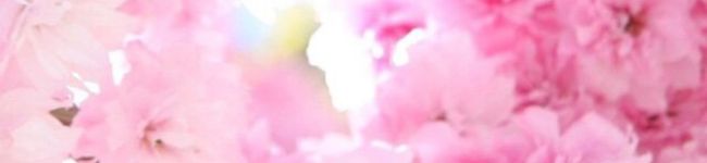 あキノコ's header image