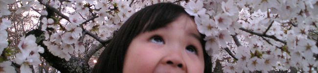 小花菜's header image