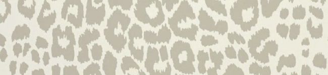 ℳᑦᑋᵃⁿ♡'s header image