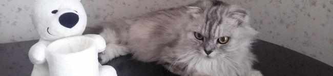 Francoise2's header image