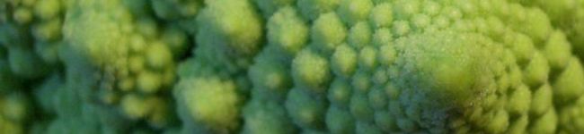 のじあや's header image