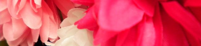 ★☆デイジー☆★'s header image