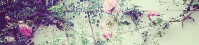 クックO18OI1☆'s header image