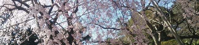 スノウ93's header image