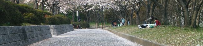ayurin330's header image