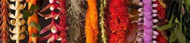 anuhea522's header image