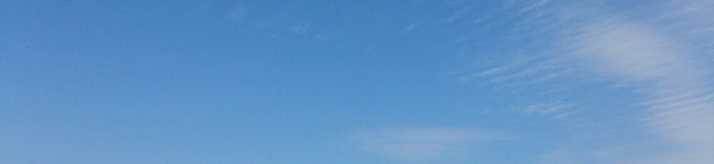 天才なかぼん's header image