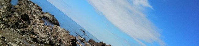 ★めれんげ★'s header image