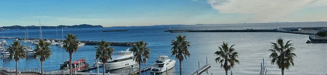 pochumal's header image