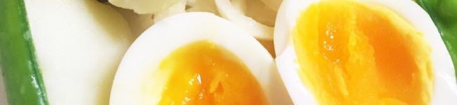 Nicolexoxo's header image