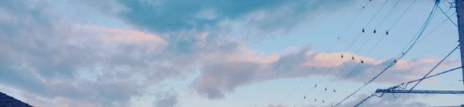 HoneyBear☆'s header image