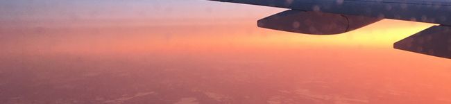 staranis's header image