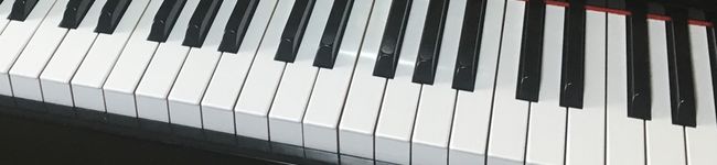 Wellcook's header image