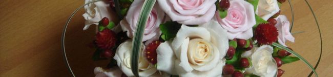 aoisora777's header image