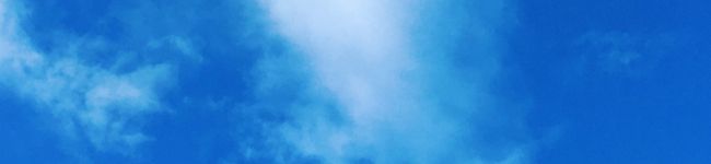 りのノン's header image