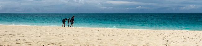 Amelie Y's header image