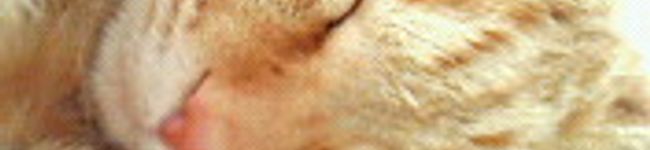 gereon's header image